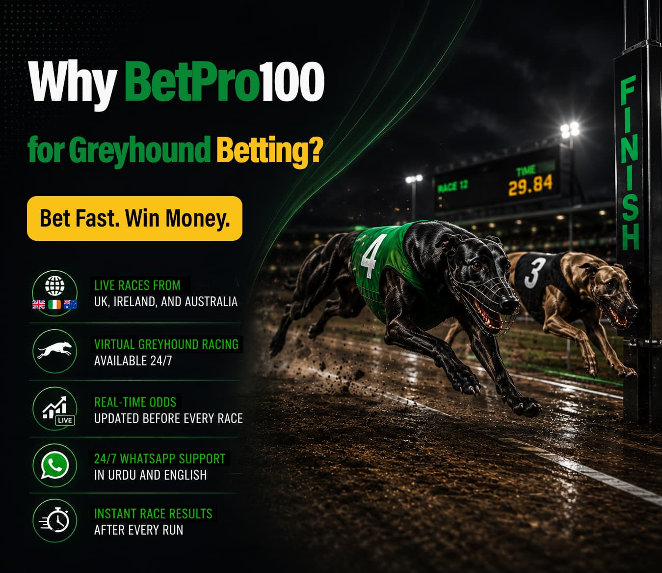 What Is Greyhound Betting?