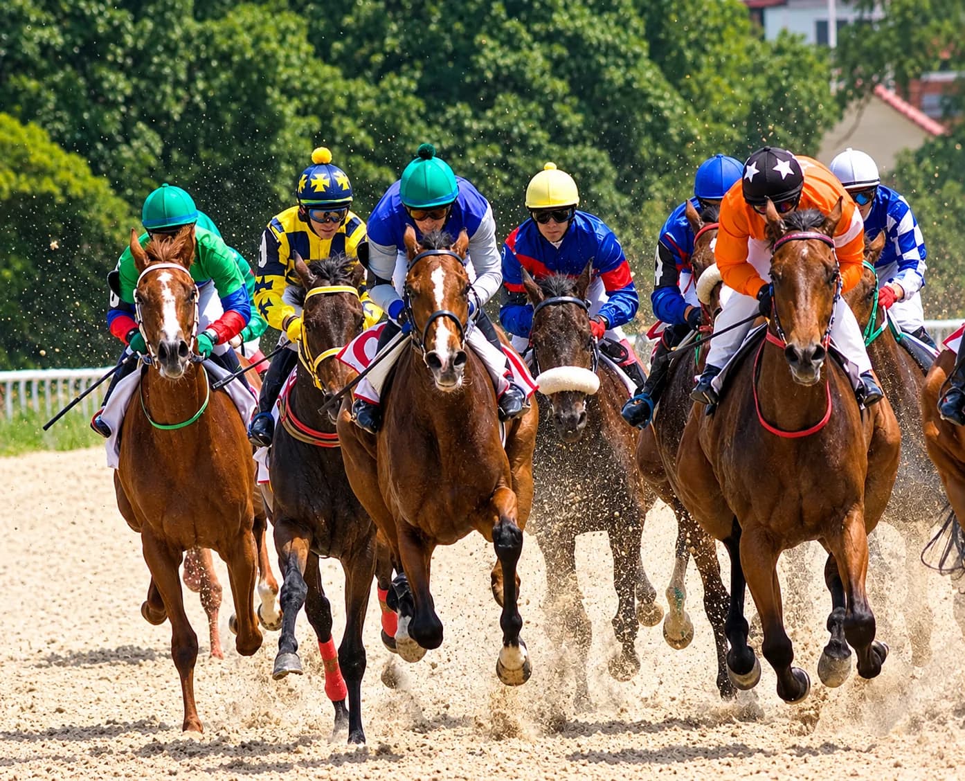 Why Women Are Becoming Involved in Online Gambling in Pakistan (With Reference to Apps like BetPro)